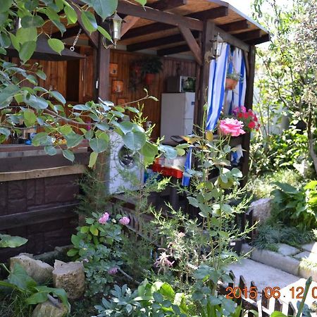 U Palycha Guest House Sukhumi Ngoại thất bức ảnh