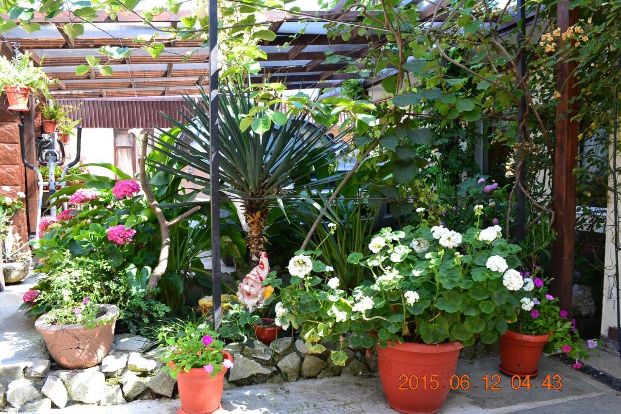 U Palycha Guest House Sukhumi Ngoại thất bức ảnh