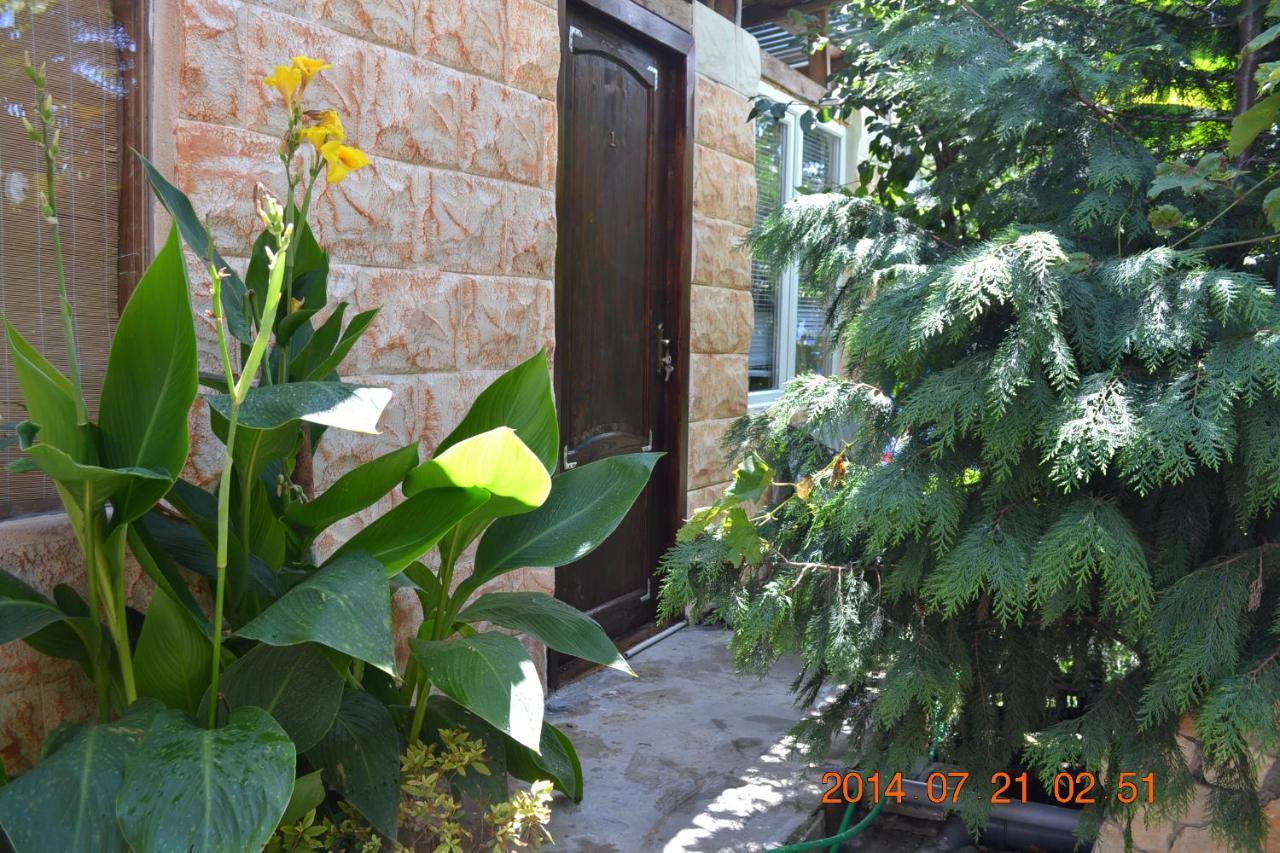 U Palycha Guest House Sukhumi Ngoại thất bức ảnh