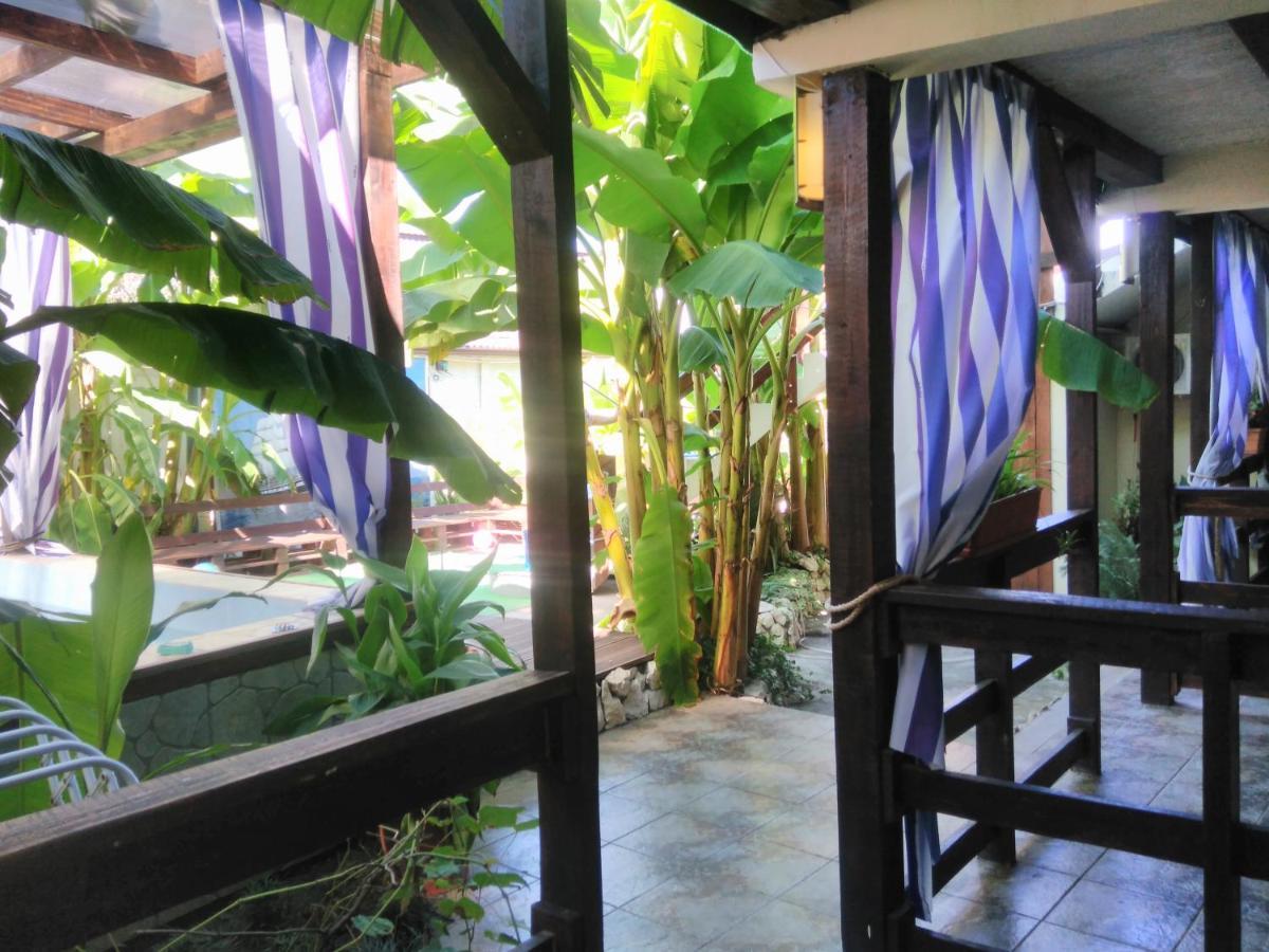U Palycha Guest House Sukhumi Ngoại thất bức ảnh