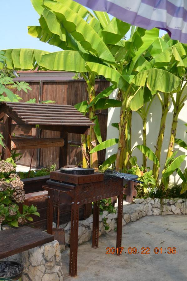 U Palycha Guest House Sukhumi Ngoại thất bức ảnh